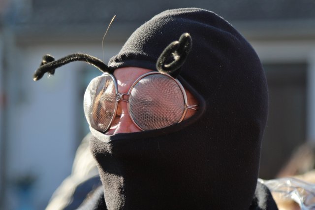 Narrentreiben 2025 (Fotos Rochus Hetzendorfer)